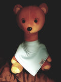 Bibby Bear